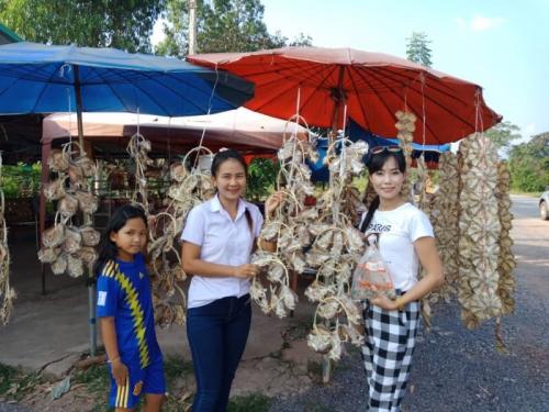 ข้อมูลแหล่งท่องเที่ยวอำเภอโนนสัง