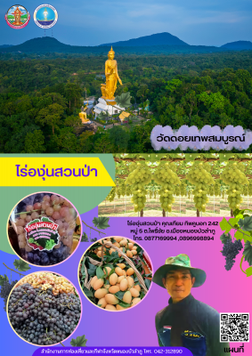 แหล่งท่องเที่ยวไร่องุ่นสวนป่า