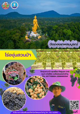 แหล่งท่องเที่ยวไร่องุ่นสวนป่า